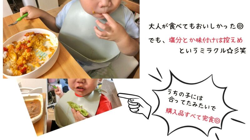 ホーミールを2歳の息子が食べたレビューと口コミまとめ