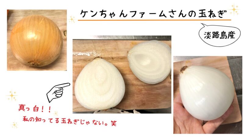 「食べチョク ドットミィ」の玉ねぎをレビュー
