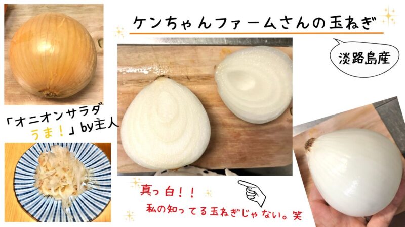 「食べチョク ドットミィ」の玉ねぎをレビュー