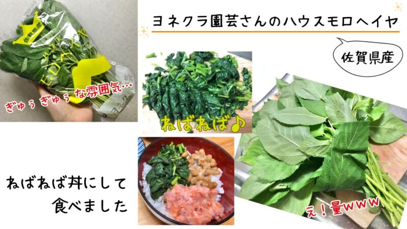 「食べチョク ドットミィ」のモロヘイヤをレビュー