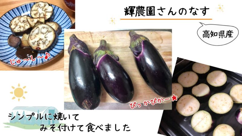 「食べチョク ドットミィ」のなすをレビュー