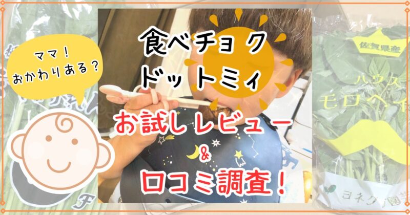 「食べチョク ドットミィ」お試しセットの口コミは？3歳児の反応も紹介