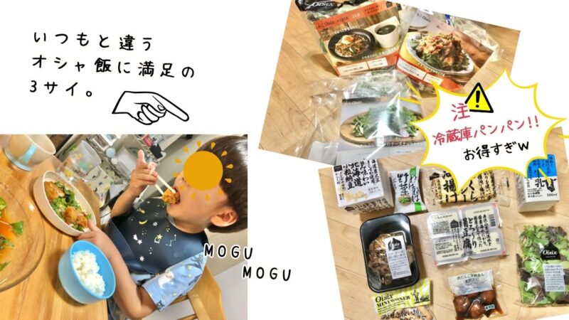 オイシックスお試しセット1980円シリーズの内容まとめ