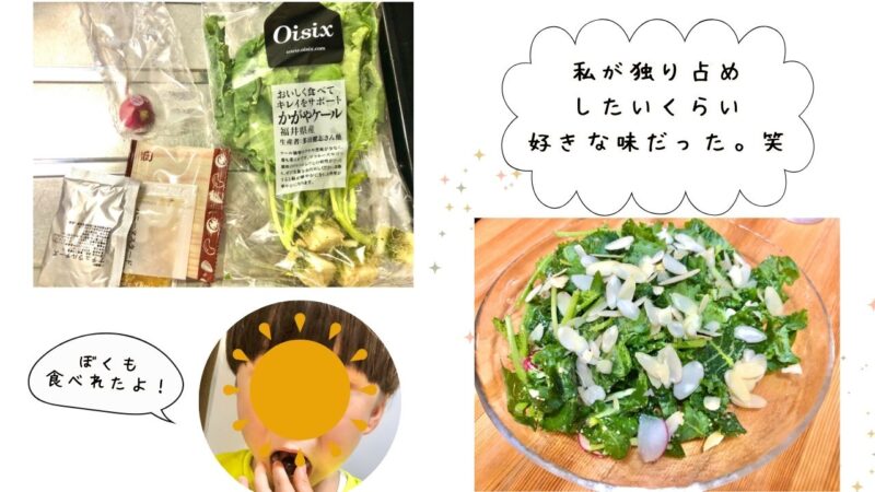 キットオイシックスミールキット口コミ3歳の感想も